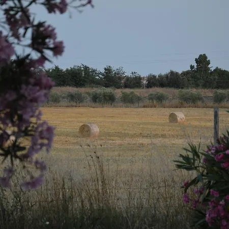 Casa di campagna Tenuta Di Pontesodo Montalto di Castro